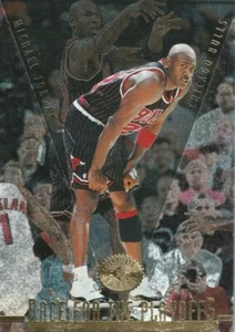1995 UD SP MICHAEL JORDAN HOF EN MUY BUEN ESTADO/+ - Imagen 1 de 2