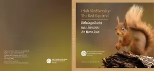 Offizielen KMS Irland 2023 : The Red Squirrel / das rote Eichhörnchen - Bild 1 von 1