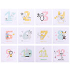 Monthly Belly Stickers Baby Growth Old Paper Newborn