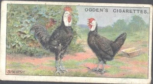 Ogdens - Poultry , Ogdens Cigarettes on front - 17 - Spanish - Picture 1 of 1