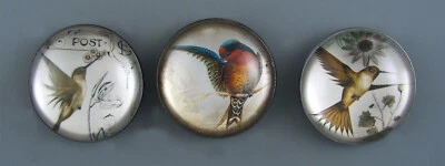 LARGE PICTURE BUTTON WITH CRYSTAL DOME - BIRDS - SET OF 3 - Image 1 of 2