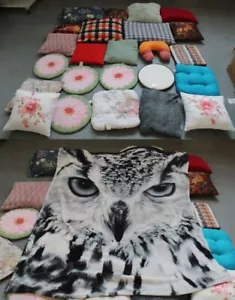 W/ 24 Kissen + 1 Kuscheldecke mit Motiv Eule bzw. Uhu aus Auflösung - 9,55 Kg /H - Bild 1 von 23