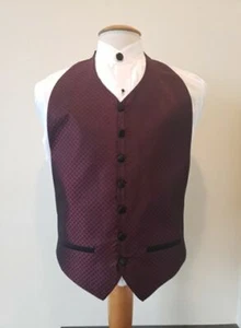GALERIE Formal Vest & Bowtie with Shirt and Button Cover Options - Men's & Boys  - Picture 1 of 15