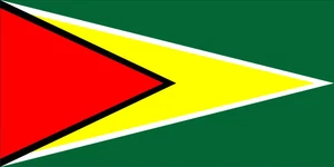 Guyana Flag Photo License Plate - LPO1318 - Picture 1 of 1