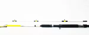 OL' WHISKERS CATFISH 10' CASTING ROD OWS-102T W/ GLOW IN THE DARK TIP - Picture 1 of 2