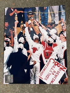 1996 Chicago Bulls Championship Official NBA Photo 8x10 Jordan Pippen Rodman - Bild 1 von 2