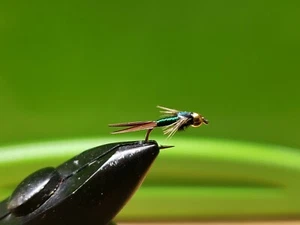 12 Brass Bead Green Copper John Nymph Wet Fly Trout - Bild 1 von 1