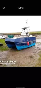 Boat Aluminum Catamaran 20 foot - Picture 1 of 8