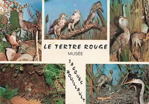 49 CHOLET PARC ZOOLOGIQUE DU TERTRE ROUGE - Imagen 1 de 2