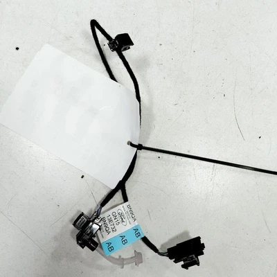 Luz ambiental delantera derecha pasajero Ford Ecosport {GN1513E732} 2018 2019 2020  Foto 1 de 4