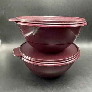 2 Tupperware Wunderbare Vorratsschüsseln weinrot Glitzer #237 mit Z Deckel Schmetterling Tabs - Bild 1 von 9