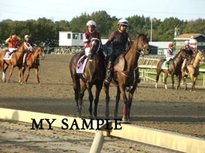 MIDNIGHT BOURBON 2021 PENNSYLVANIA DERBY HORSE RACE KENTUCKY 8" by 10" PHOTO #2 - Picture 1 of 1
