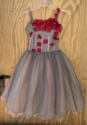 Curtain Call костюмы розовый и серый Thule балерина принцесса платье размер ASM 11-12 - Изображение 1 из 4