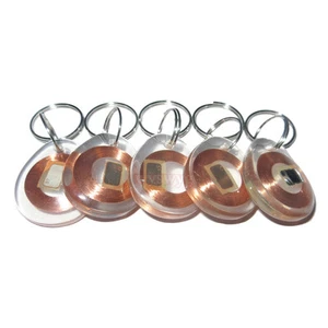5 piezas Llave de puerta transparente reescribible para copiadora RFID EM 125 KHz - Imagen 1 de 2