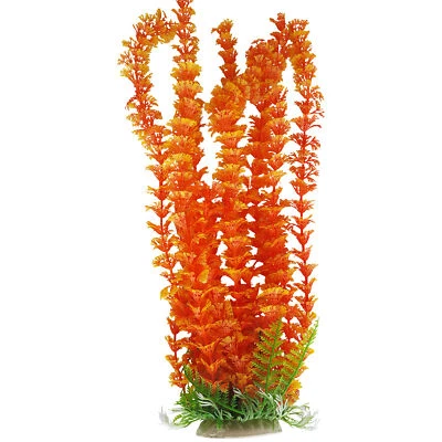 Planta de acuario de hoja delgada naranja con base 12-13 pulgadas de alto (32-35 cm), segura para peces Foto 1 de 4