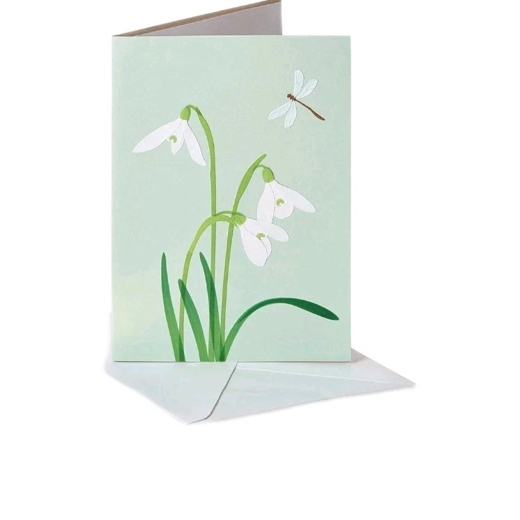 Papyrus Sympathy Card w/Dragonfly & Flowers  - Image 1 of 4