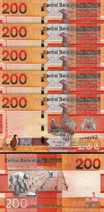 Gambia 200 Dalasis 2023 (2024), UNC, LOTE DE 5 piezas, consecutivo, P-42c - Imagen 1 de 4