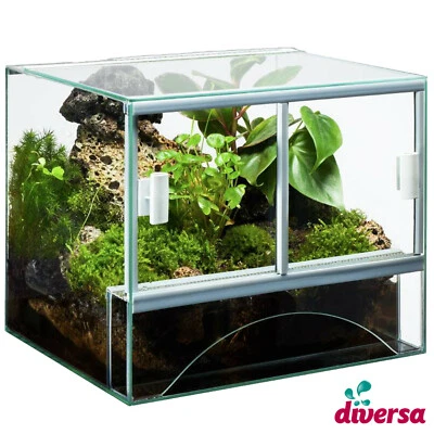 (63,00€ / Stk) Glas Terrarium 30x25x25cm diversa 18,75 Liter Schiebetür