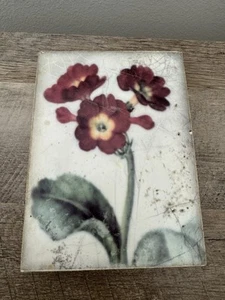 Sid Dickens Blocco Memoria Piastrella Decorazione Parete T-261 Fiori Fati - Foto 1 di 19