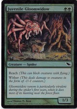 Juvenile Gloomwidow *FOIL Common* Magic MtG x1 Shadowmoor SP