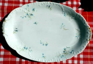 17 1/2" Schleiger 699 Oval Serving Platter, by Haviland - Picture 1 of 6