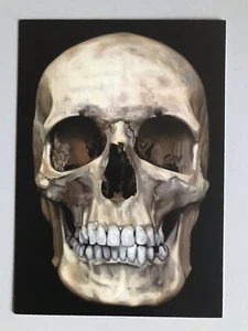 DAMIEN HIRST, ‘THE SKULL BENEATH THE SKIN’ exhibition art card, 2005 - Picture 1 of 3