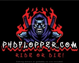 phdflopper.com dos palabras .com nombre de dominio Godaddy Push Enviar ofertas - Imagen 1 de 1