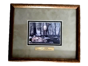 JAMES G. REED "LIFE ANEW" Mammoth-Yellowstone 89 Framed  Rare Piece - Picture 1 of 15