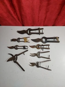 Konvolut antiker französischer Weinscheren - Bild 1 von 14