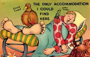 Postcard Cartoon Humor Man Sleeping The only Accomodation I Could Find Here - Picture 1 of 2