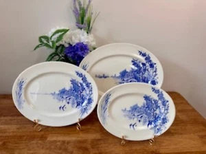 Myott England Meadow Sweet Blue Transferware Serving Platters Vintage J Walker - Picture 1 of 7