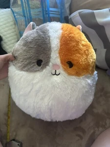 Squishmallow 12" Everett Hamster Fuzz A Mallow Tri Color Pet Plush NWT - Picture 1 of 3