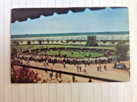 Atlantic City Race Course Paddock Walking Ring Postcard Black Horse Pike Cover