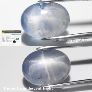 π GLC Report 5.75ct Oval Natural Blue 6 Ray Star Sapphire - Unheated Ceylon Gem - Picture 1 of 7