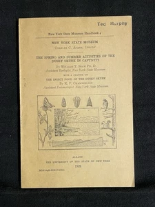 1928 New York State Museum Handbuch, Frühjahr/Sommer Aktivitäten des düsteren Stinktiers - Bild 1 von 6