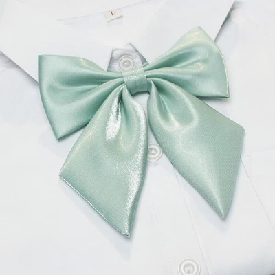 Pajarita de negocios formal ajustable pre atada para mujer pajarita boda corbata lisa Foto 1 de 4