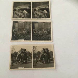 Wills Cigarette O’seas cards - 1928 Animal Studies - Elephant Deer Polar Bear P - Foto 1 di 2