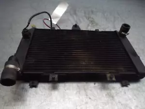Kawasaki ZRX1100 R Motorcycle Radiator Assembly - Picture 1 of 4