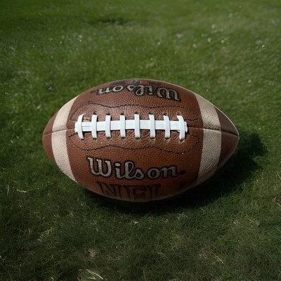 Raro Carolina Panthers 1 de 1000 “Night Stripe” 96 Fútbol Oficial NFL Foto 1 de 4