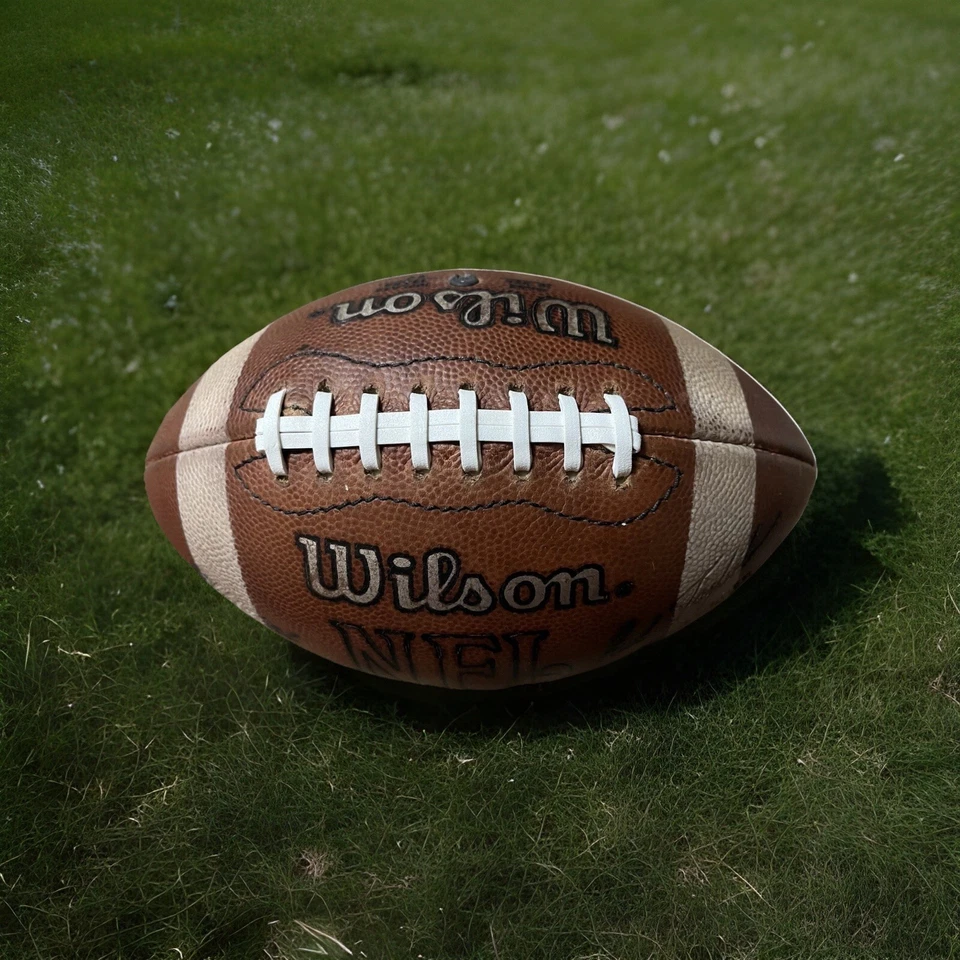 Raro Carolina Panthers 1 de 1000 “Night Stripe” 96 Fútbol Oficial NFL Foto 1 de 4