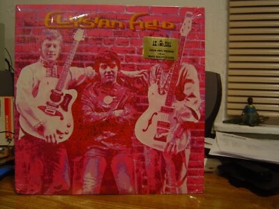 ELYSIAN FIELD 2xLP/'68 Louisville, KY/Rare 45s & Unreleased/Psych Rock/Soul Inc. Foto 1 de 2