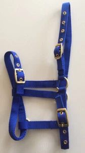 Collar de potro, nailon, tamaño estándar, azul, franqueo gratuito del Reino Unido - Imagen 1 de 1
