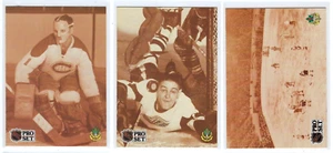 1991 Set professionale hockey #341,343,344 - PIANTA JACQUES, SPUGNA SAWCHUK & NUOVO COMPLESSO - Foto 1 di 2