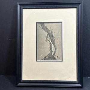 Woodblock Print Tree Shedding Bark 14.5” Wide X 18.5” Tall Professional Framed - Picture 1 of 7