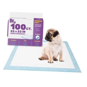 Puppy Pads Leak-Proof 22"x 22" | Pee Pads for Dogs Quick Absorb 6 100 Count - Picture 1 of 7