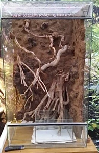 Großes Glas Terrarium ( Reptilien / Chamäleon / Schlangen / Gekkos / Bartagamen - Bild 1 von 3