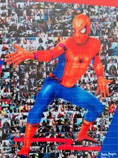 MARIA MURGIA - SPIDER MAN - 2020 Pezzo unico dipinto cm 50x50 + ARCHIVIO