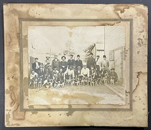 Antica foto 1910 nuova Stanton, Pennsylvania cane da caccia campo prova armadio cartolina - Foto 1 di 7