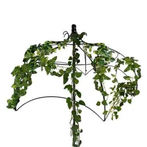 Regenschirm Pflanzenstütze Gitter Garten Klettern Blumen Rebe Metall Schwerlast - Bild 1 von 24