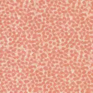 Tiny Coral Flowers, Blush Pink, Floral Fabric, Bee Garden, Moda, 48417-16 - Picture 1 of 1